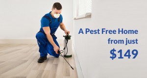 Pest Free Home across the Central Coast