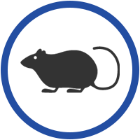 Australian Pest Specialists rodent icon