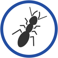 Australian Pest Specialists Termite Icon