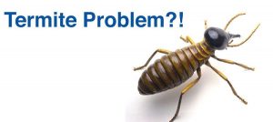 termite problems
